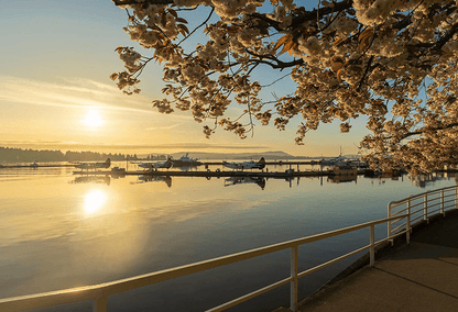 Sunset over the Nanaimo Waterfront, Vancouver Island