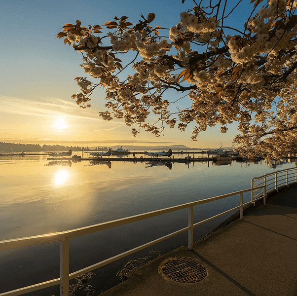Sunset over the Nanaimo Waterfront, Vancouver Island